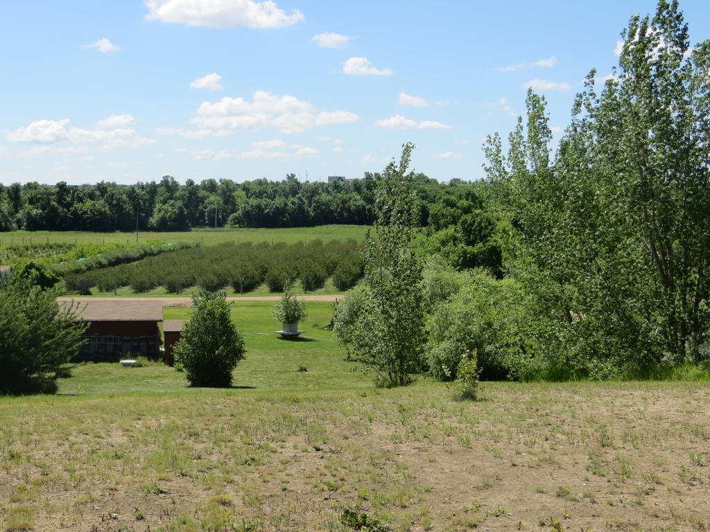 Bed and Breakfast Orchard View Bed&Breakfast Moose Jaw Exterior foto