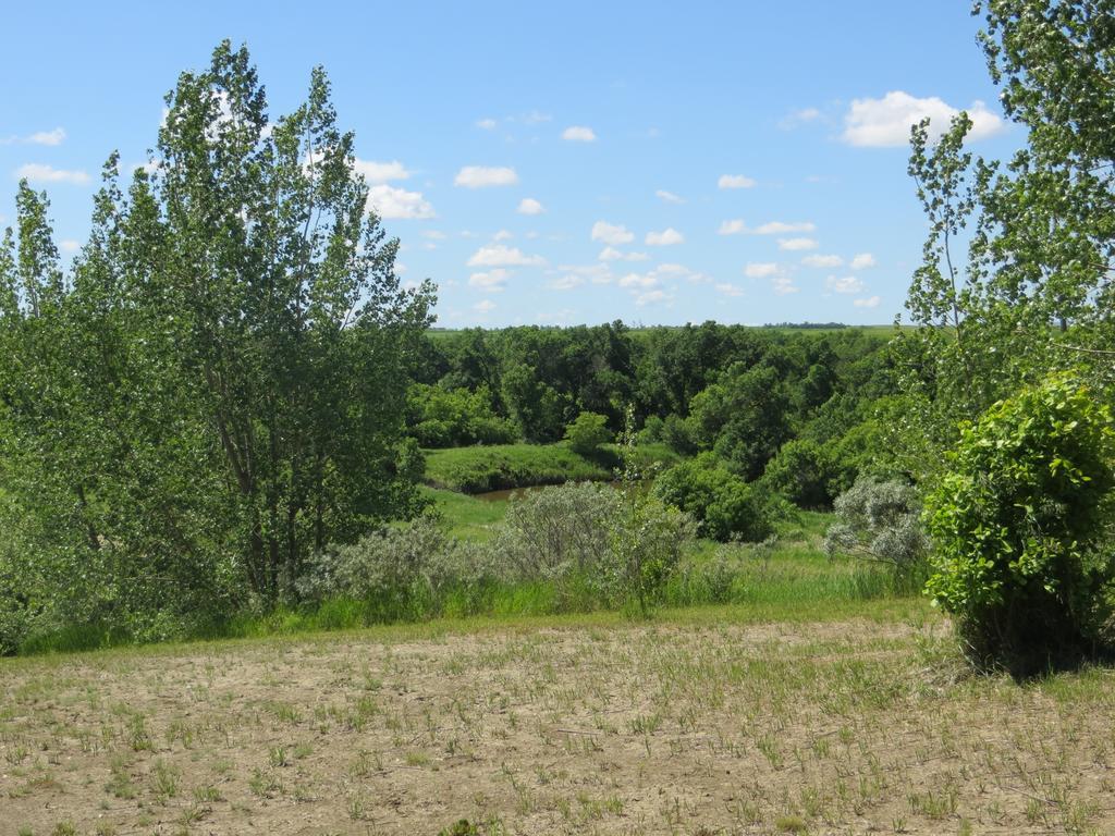 Bed and Breakfast Orchard View Bed&Breakfast Moose Jaw Exterior foto